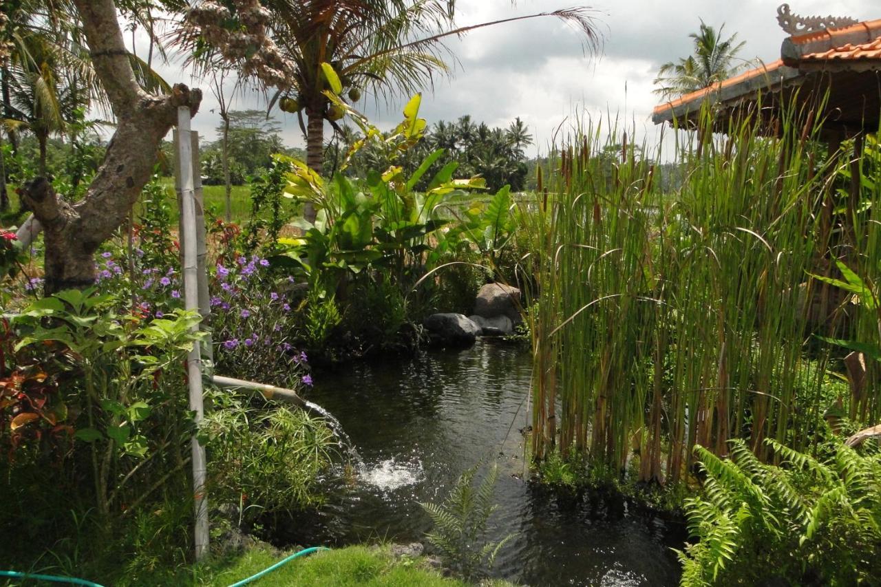 Hotel Bali Sawah Indah Ubud Exteriér fotografie