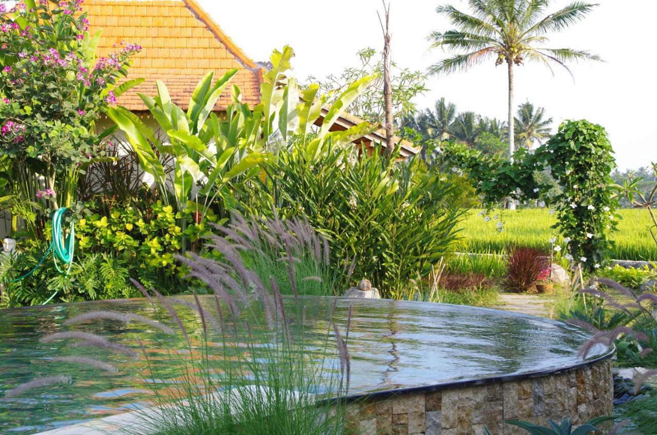 Hotel Bali Sawah Indah Ubud Exteriér fotografie